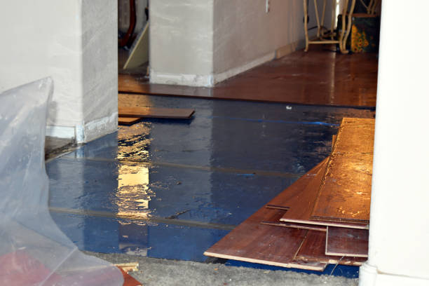 Professional Sewage Cleanup technician working in Caroline, WI